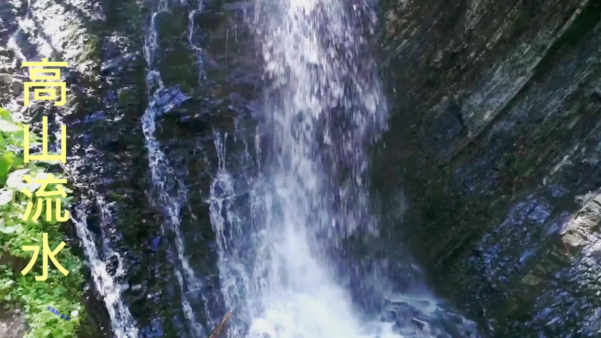 逃离鱼店
